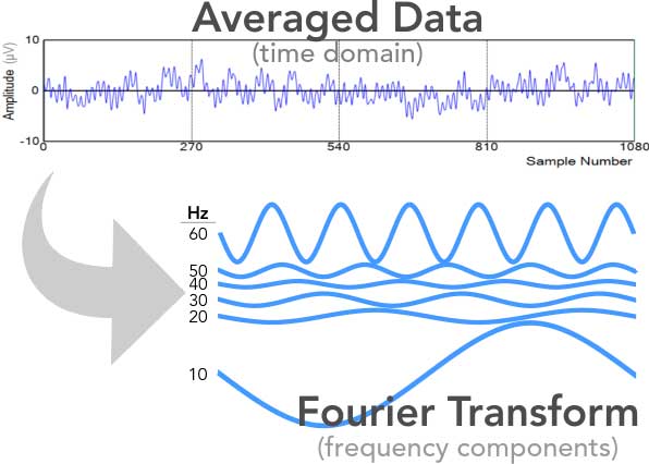 Fourier Analytics