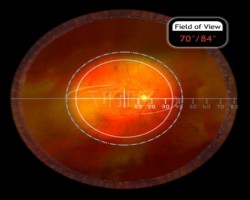 ANALYTICAL INSTRUMENTS