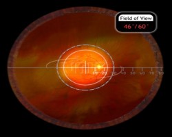 ANALYTICAL INSTRUMENTS