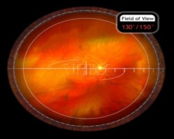 ANALYTICAL INSTRUMENTS