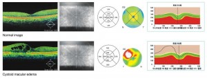 ANALYTICAL INSTRUMENTS