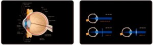 ANALYTICAL INSTRUMENTS