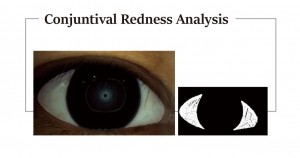 ANALYTICAL INSTRUMENTS